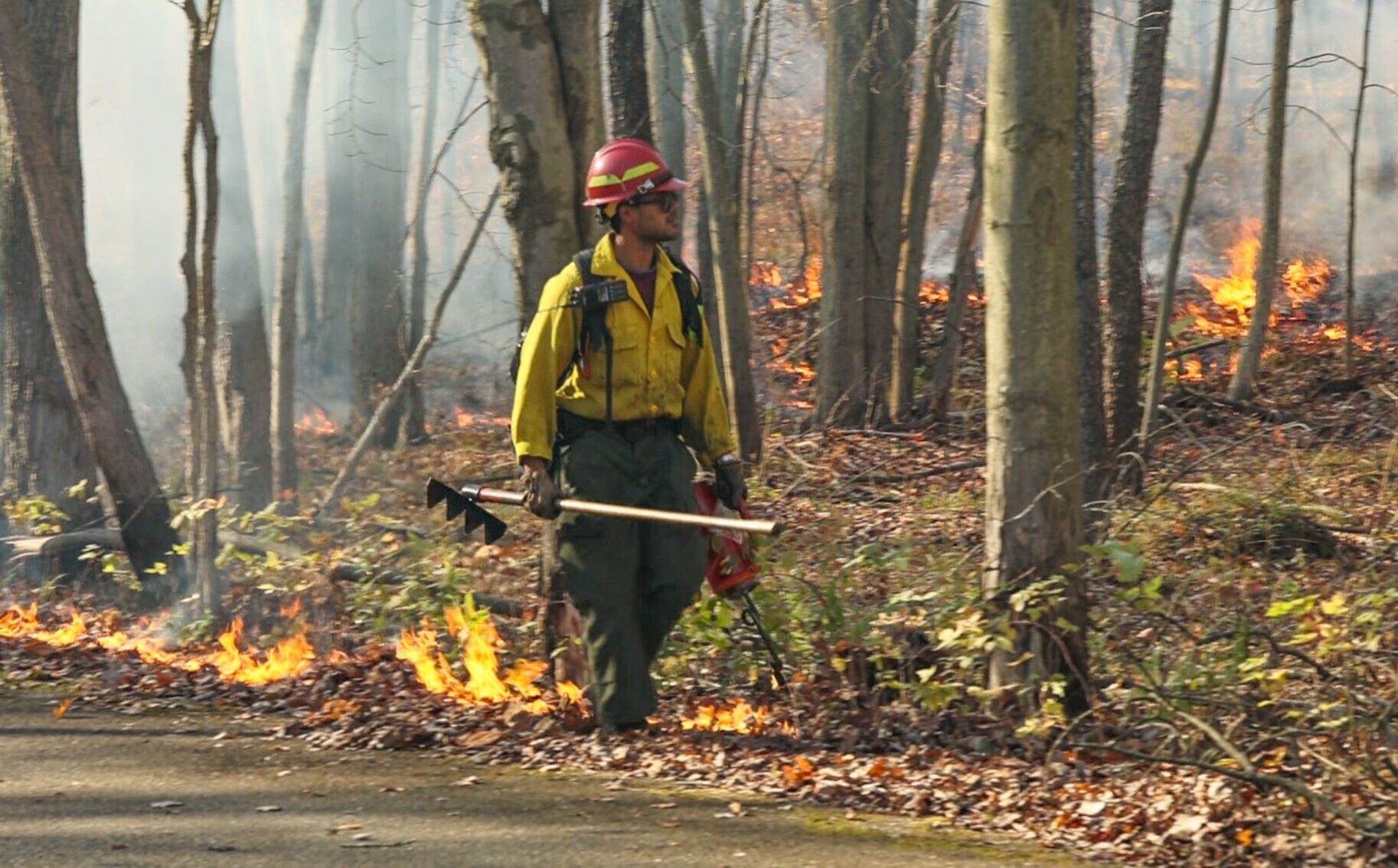 National Park Services Great Lake Fire Management Zone burn